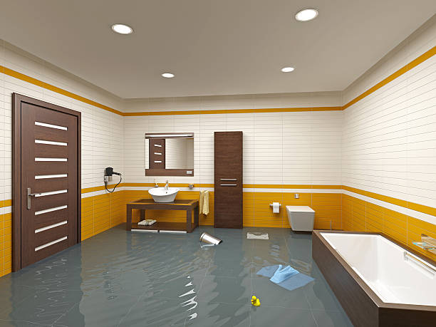 Best Flood Cleanup and Water Removal in Half Moon Bay, CA